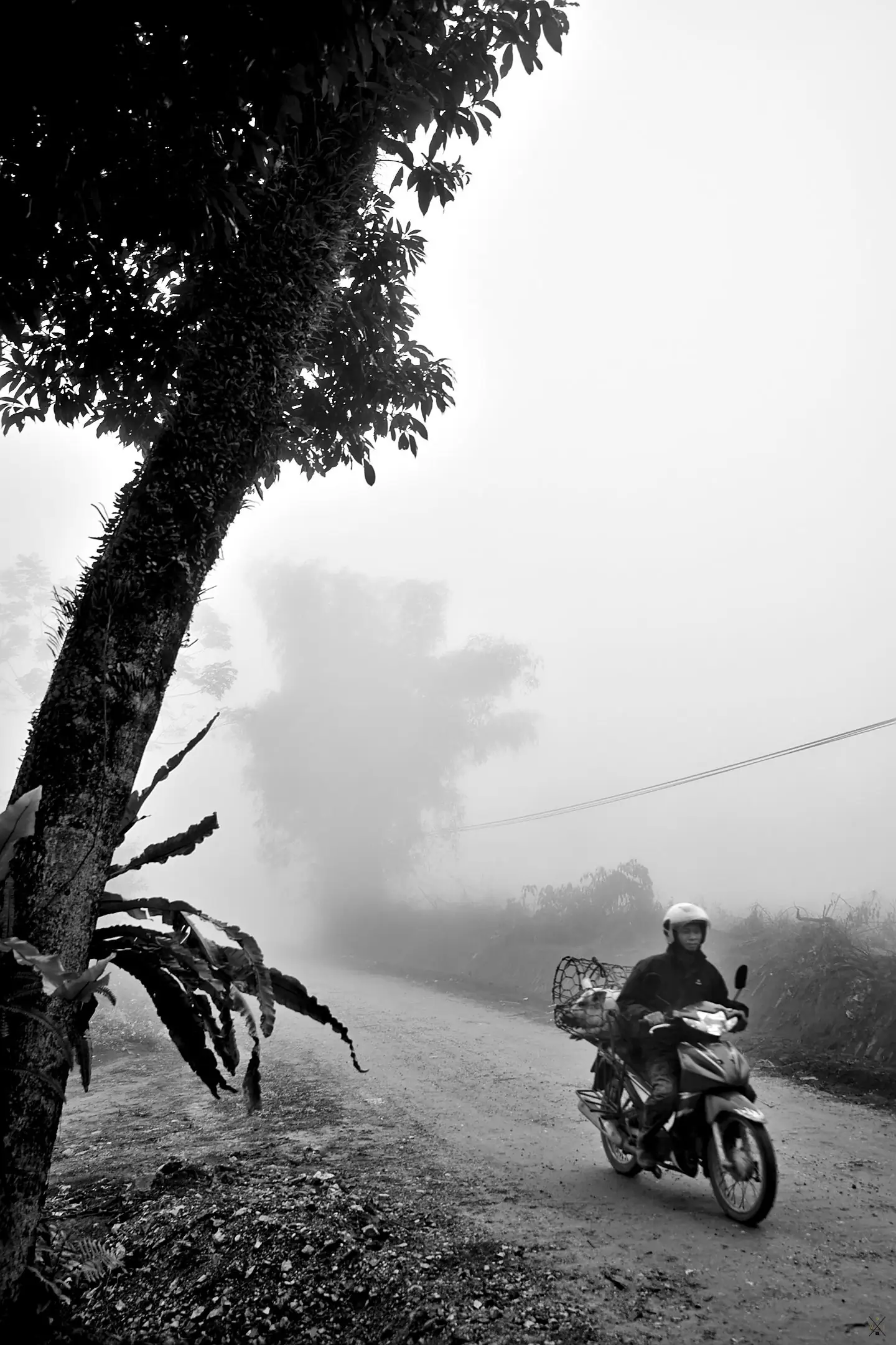 Marc Photography