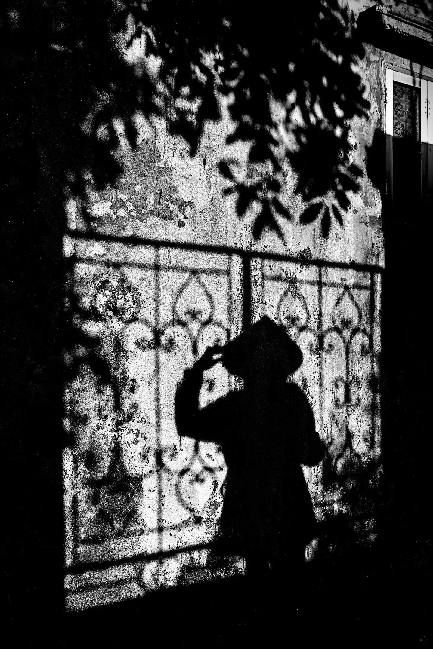 Marc Photography