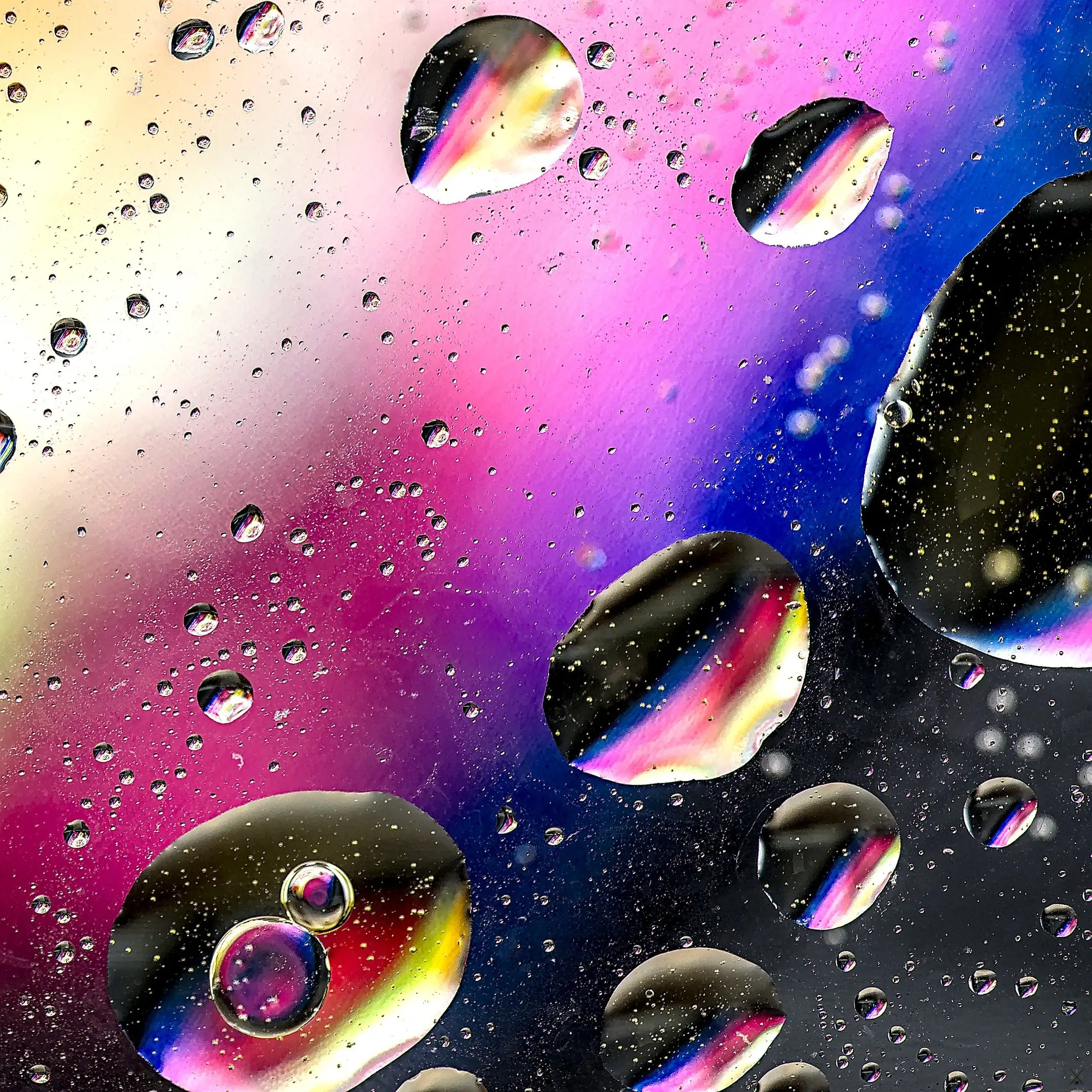 Marc Photography